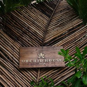 Orchid House Tulum Jungle